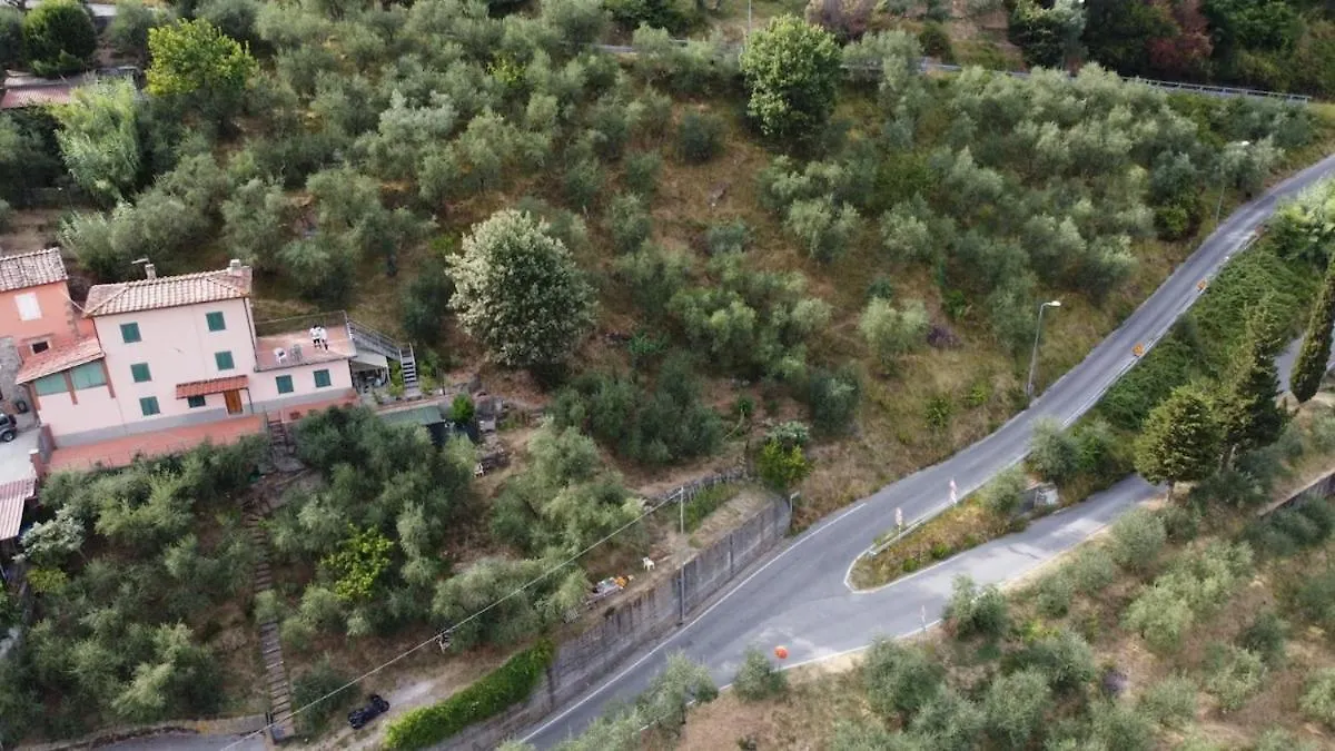 Tenuta Lombrica Capannori Italien