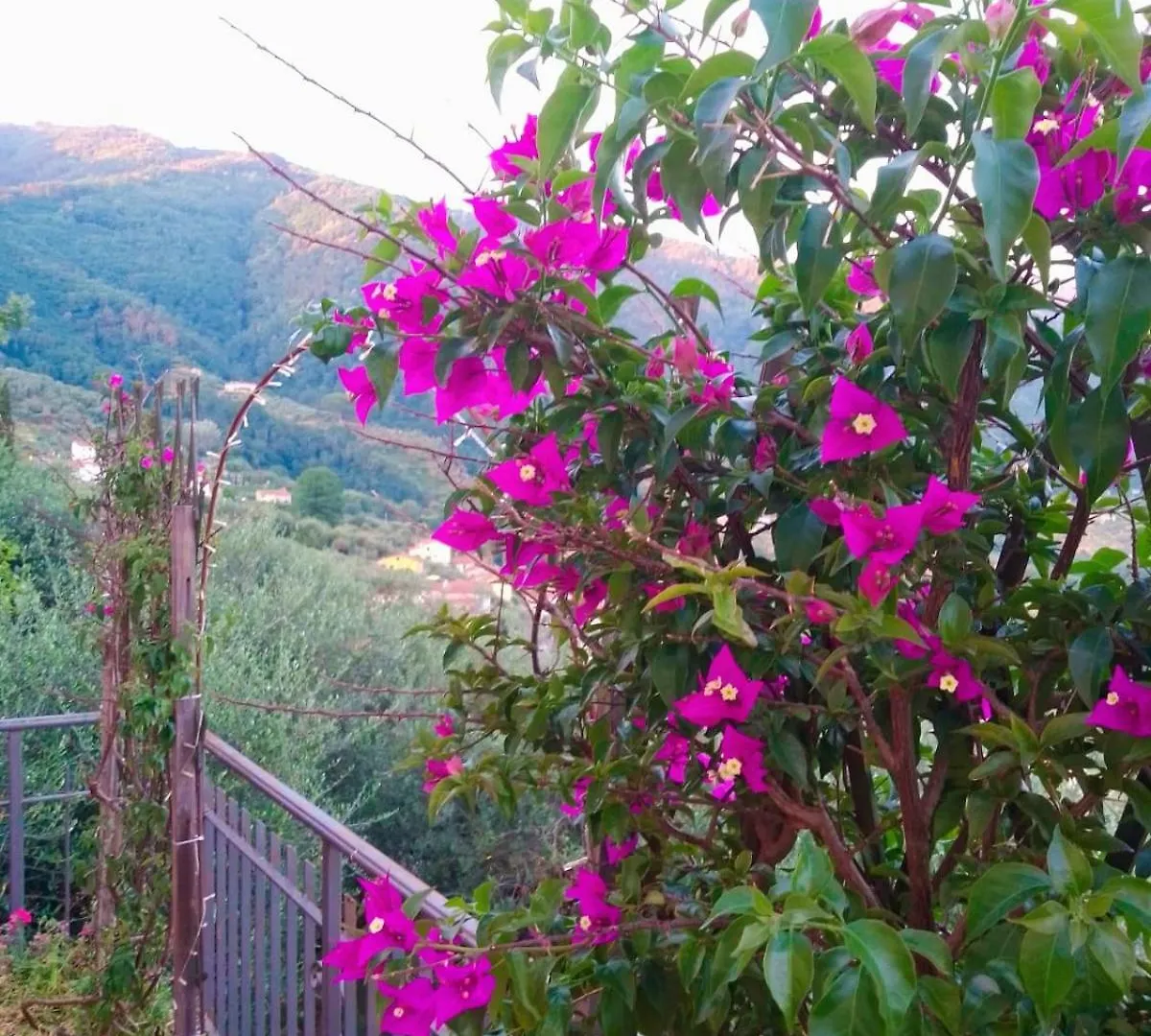 Ferienhaus Tenuta Lombrica Capannori Italien